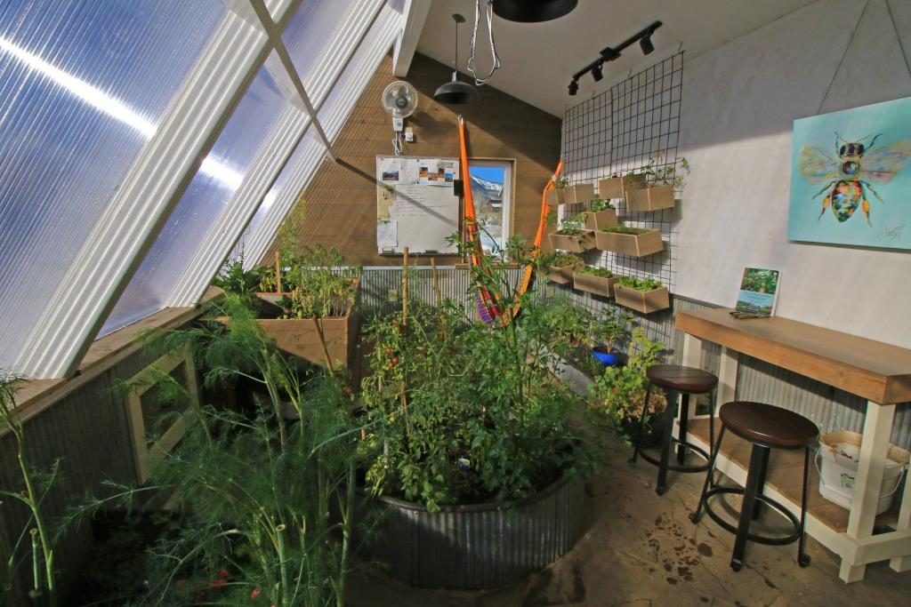 Inside Greenhouse in December